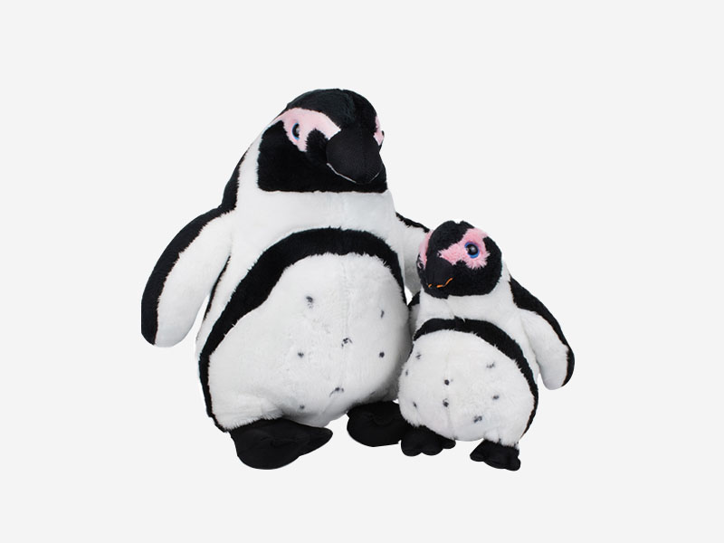 African Penguin African Penguin